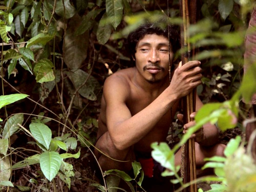 L'histoire de l'indigène Tanaru. Il finit sa vie dans son hamac  26 ans d'isolement révélés