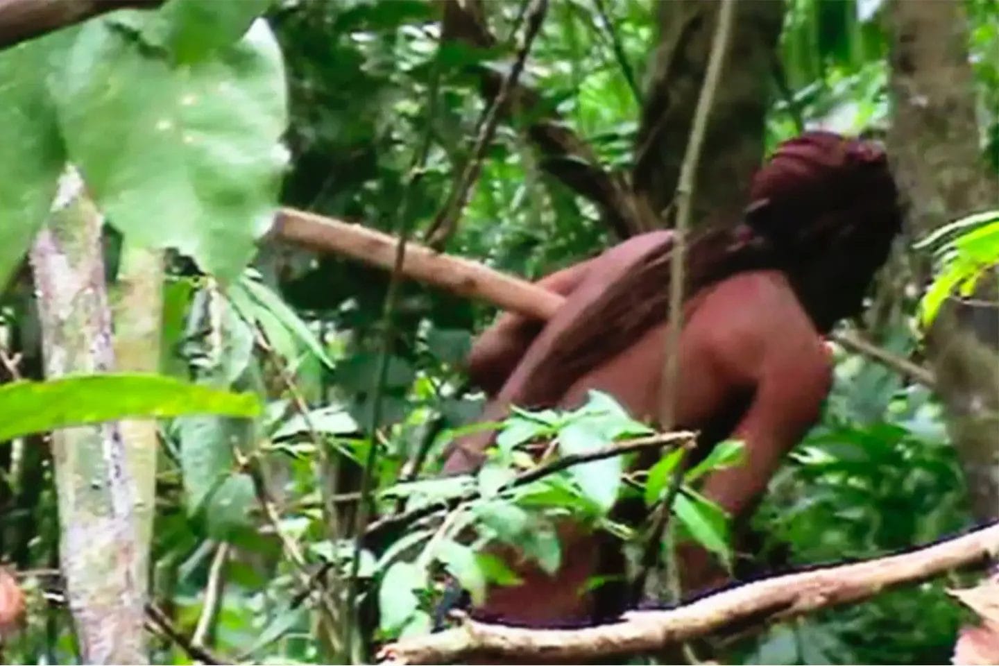 mort de l indien tanaru dernier survivant d une petite tribu d amazonie