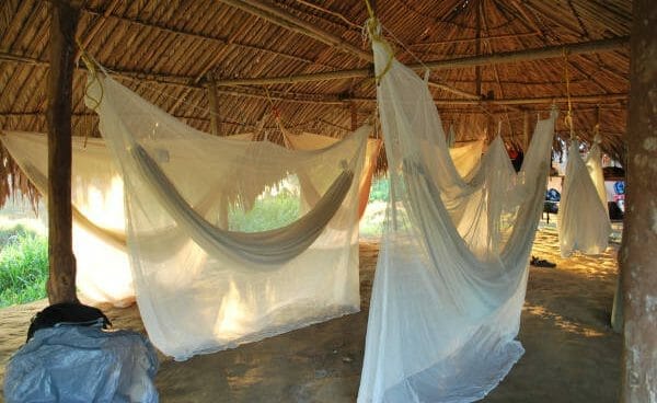 Comment se protéger des moustiques dans un hamac