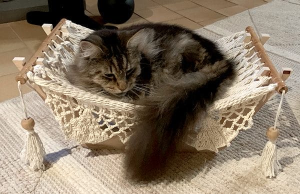 hamac à chat artisanal avec un chat à l'intérieur
